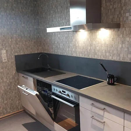 Am Rhein Apartment Rhens
