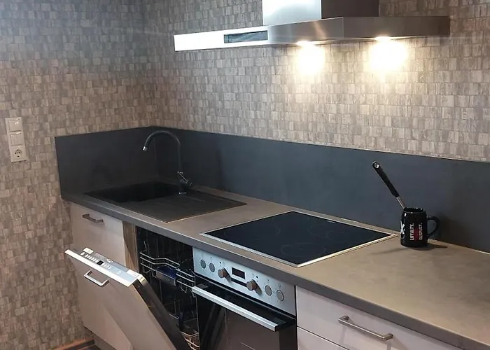 Am Rhein Apartment Rhens