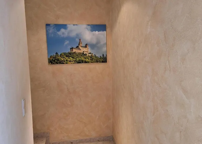 Am Rhein Apartment Rhens